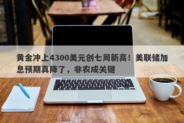 黄金冲上4300美元创七周新高！美联储加息预期真降了，非农成关键
