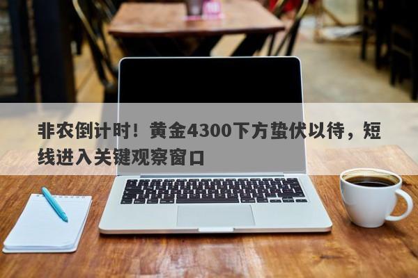 非农倒计时！黄金4300下方蛰伏以待，短线进入关键观察窗口