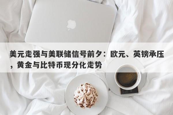 美元走强与美联储信号前夕：欧元、英镑承压，黄金与比特币现分化走势