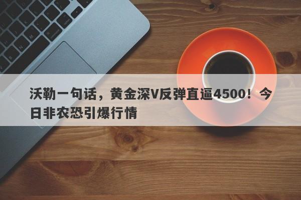 沃勒一句话，黄金深V反弹直逼4500！今日非农恐引爆行情