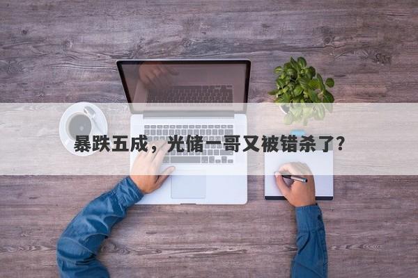 暴跌五成，光储一哥又被错杀了？