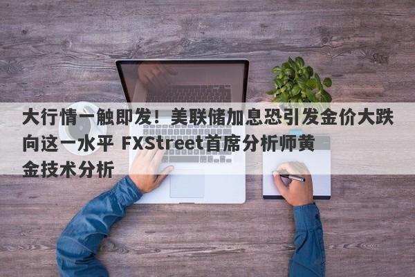 大行情一触即发！美联储加息恐引发金价大跌向这一水平 FXStreet首席分析师黄金技术分析