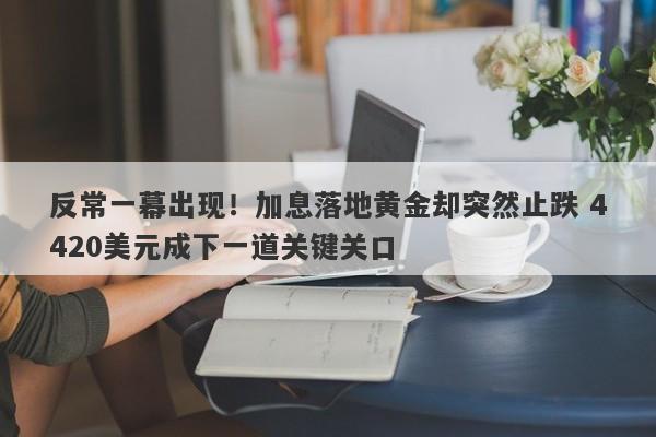 反常一幕出现！加息落地黄金却突然止跌 4420美元成下一道关键关口