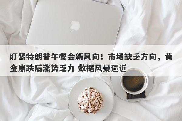 盯紧特朗普午餐会新风向！市场缺乏方向，黄金崩跌后涨势乏力 数据风暴逼近