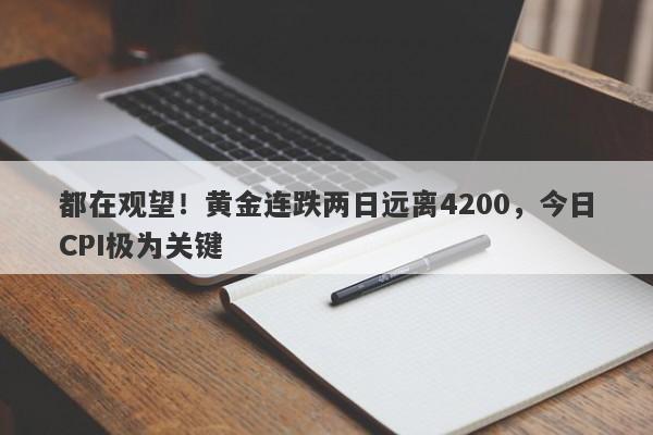 都在观望！黄金连跌两日远离4200，今日CPI极为关键