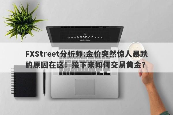 FXStreet分析师:金价突然惊人暴跌的原因在这！接下来如何交易黄金？